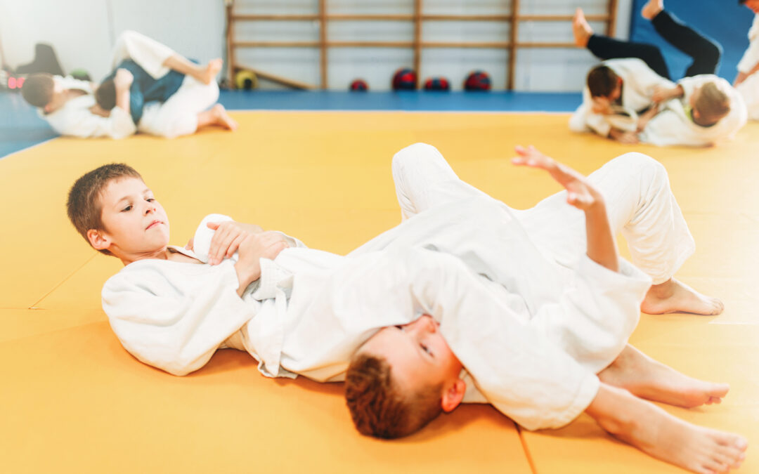 Home Judo Training