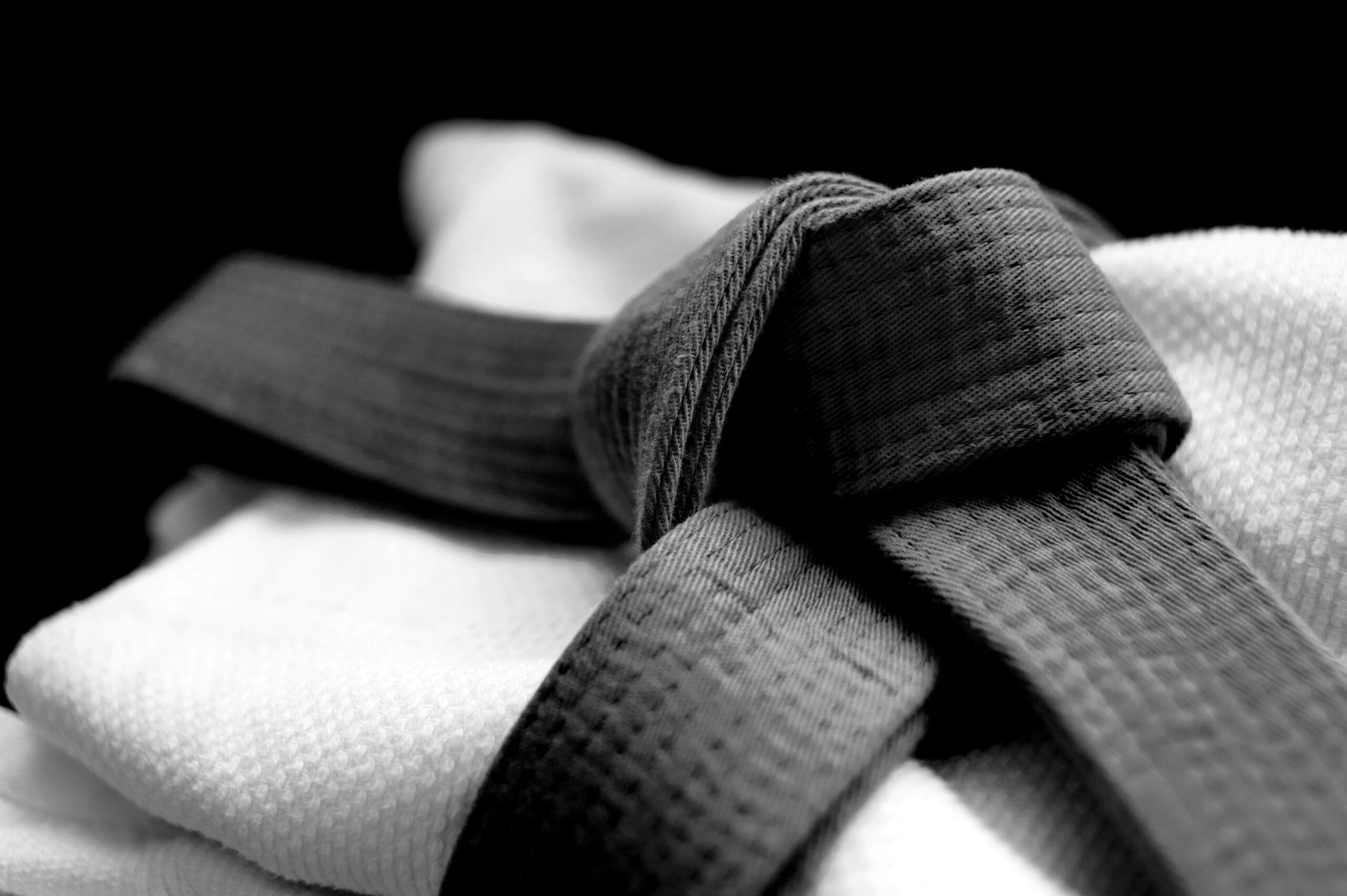 Destination Judo Logo