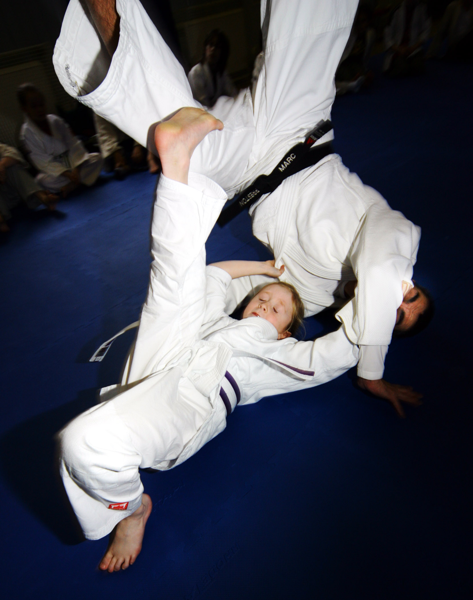 Destination Judo Logo