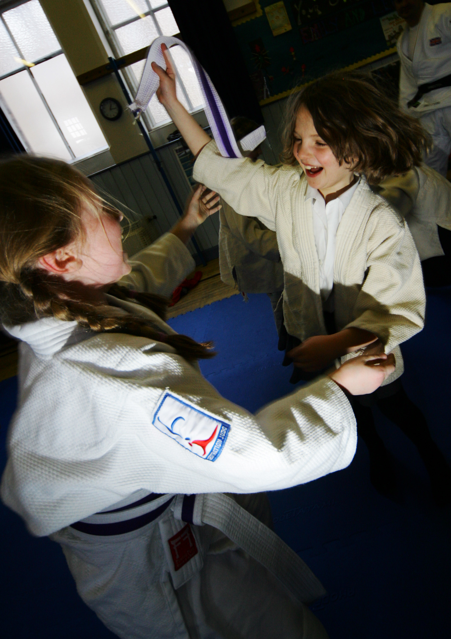 Destination Judo Logo