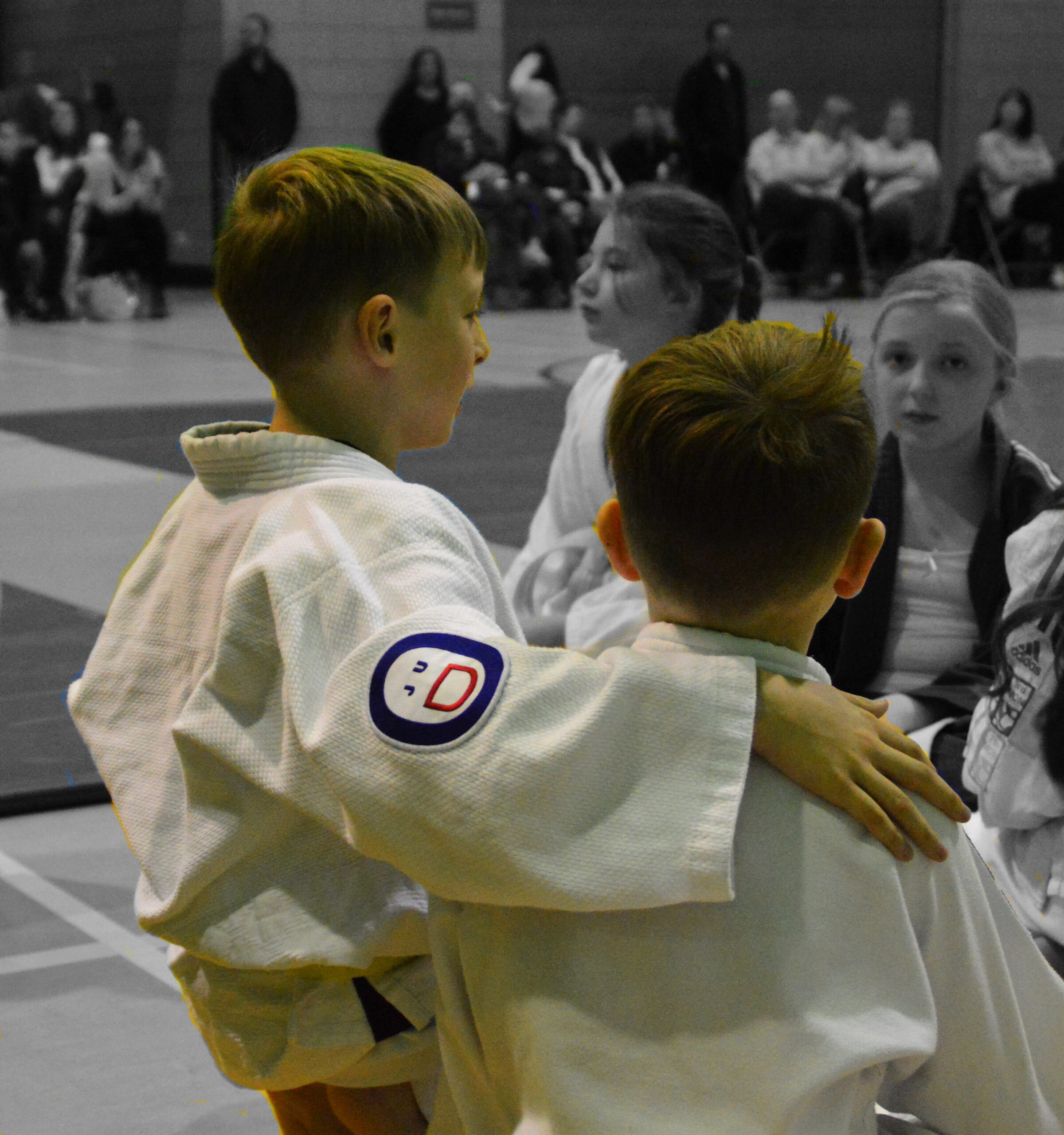 Destination Judo Logo